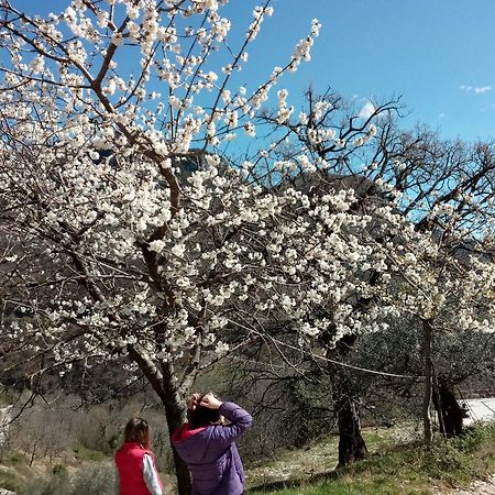 Valle Del Belvedere สโปเลโต ภายนอก รูปภาพ